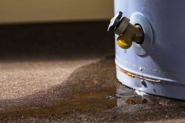 Best Emergency water damage restoration  in Roebling, NJ