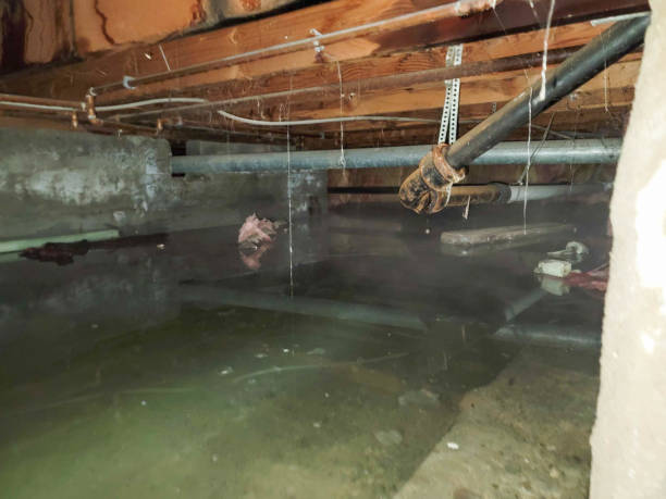 Water damage restoration mold remediation in NJ