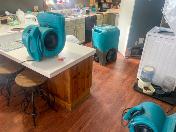 Best Sewage cleanup and water damage restoration  in Roebling, NJ