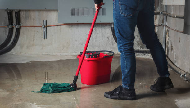  Roebling, NJ Water damage restoration Pros