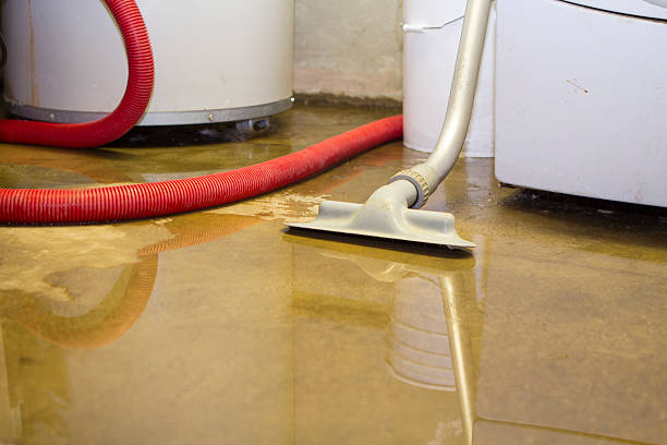 Best Local water damage restoration  in Roebling, NJ