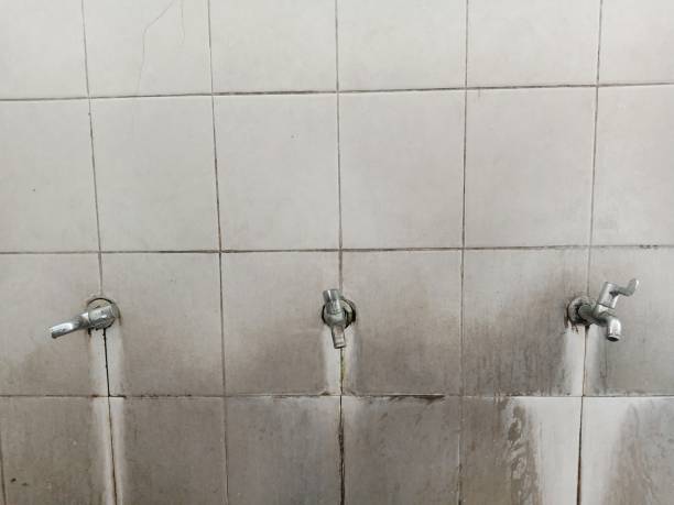 Best 24/7 water damage repair  in Roebling, NJ