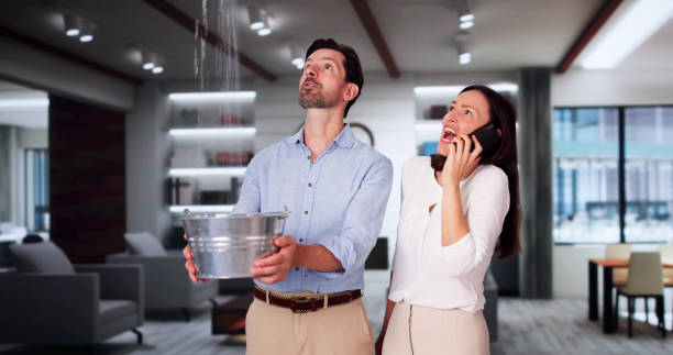 Best Water damage restoration cost  in Roebling, NJ