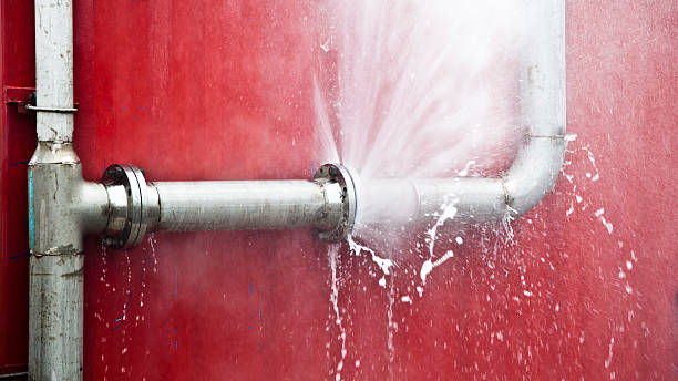 Best Water damage restoration near me  in Roebling, NJ